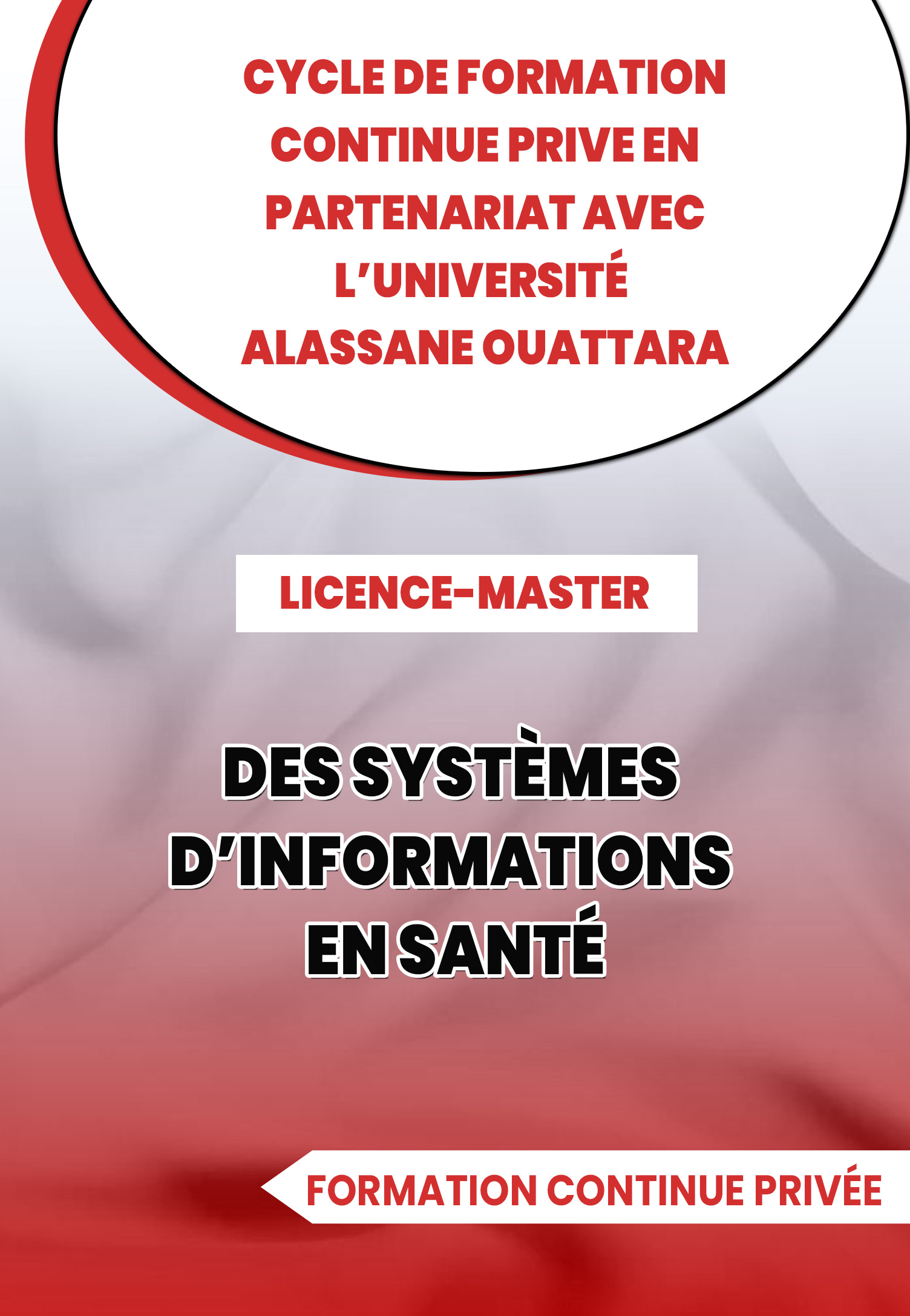 Licence-Master des Systèmes d’Informations en Santé